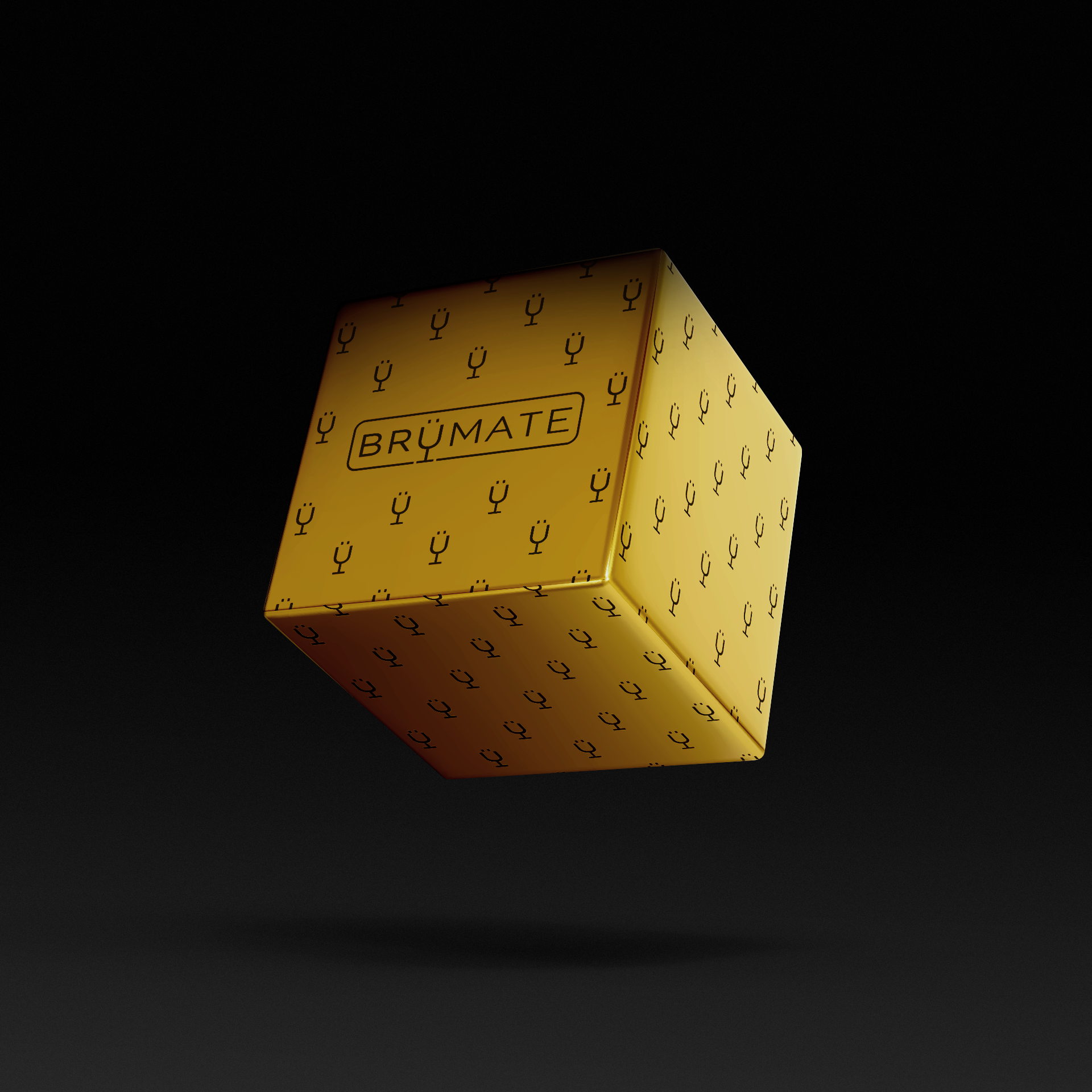 premium-mystery-item-39-70-value-h6 IMG-1548.png